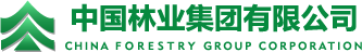中林集团